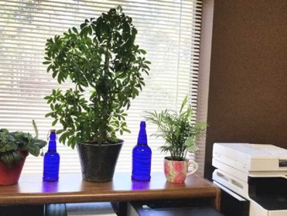 SolaraPure Blue Glass Solar Water Bottles are perfect for the office.