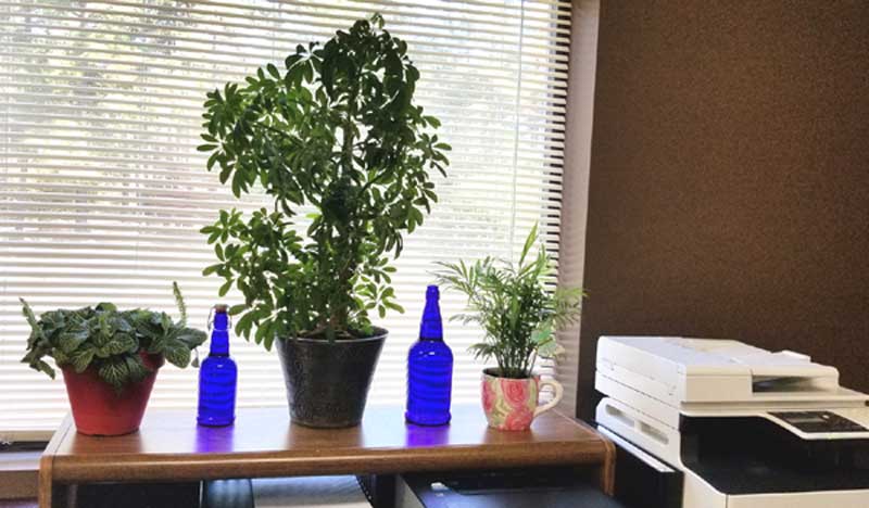 SolaraPure Blue Glass Solar Water Bottles are perfect for the office.